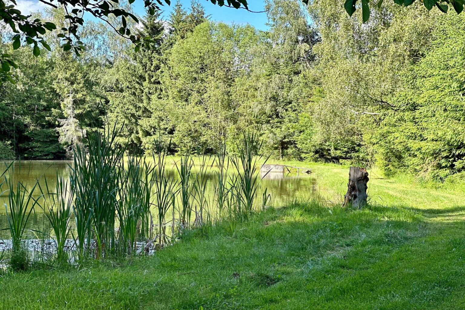 image_50447105_11zon (1)